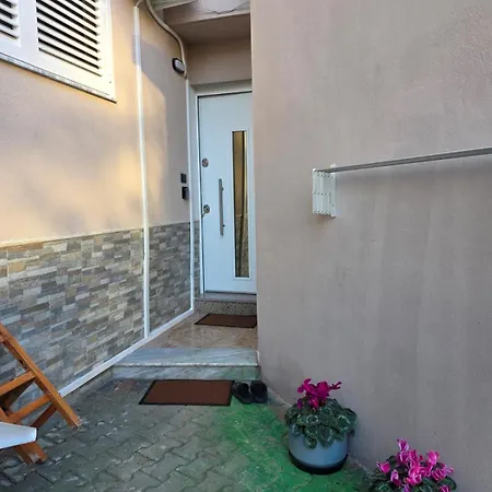 Апартаменты Oasis *